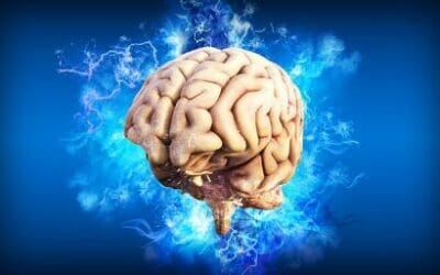 Traumatic Brain Injury Resources