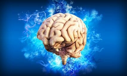 Traumatic Brain Injury Resources